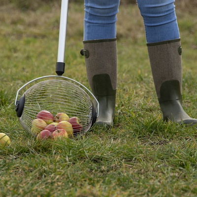 Recogedor Manzanas con Mango